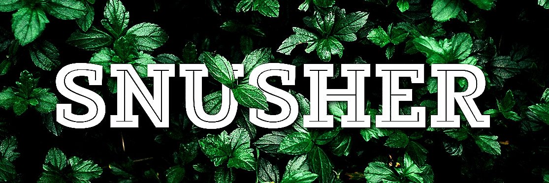 snusherboytz's profile banner image