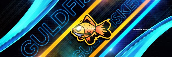 FiskFN Profile Banner