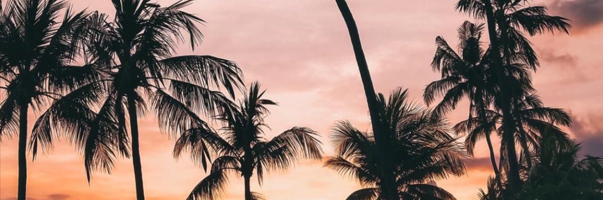 Frikix's profile banner image