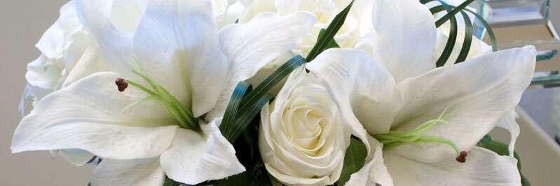 James Bosbotinis banner