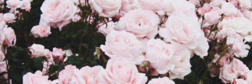 JessicaGarlai's profile banner image