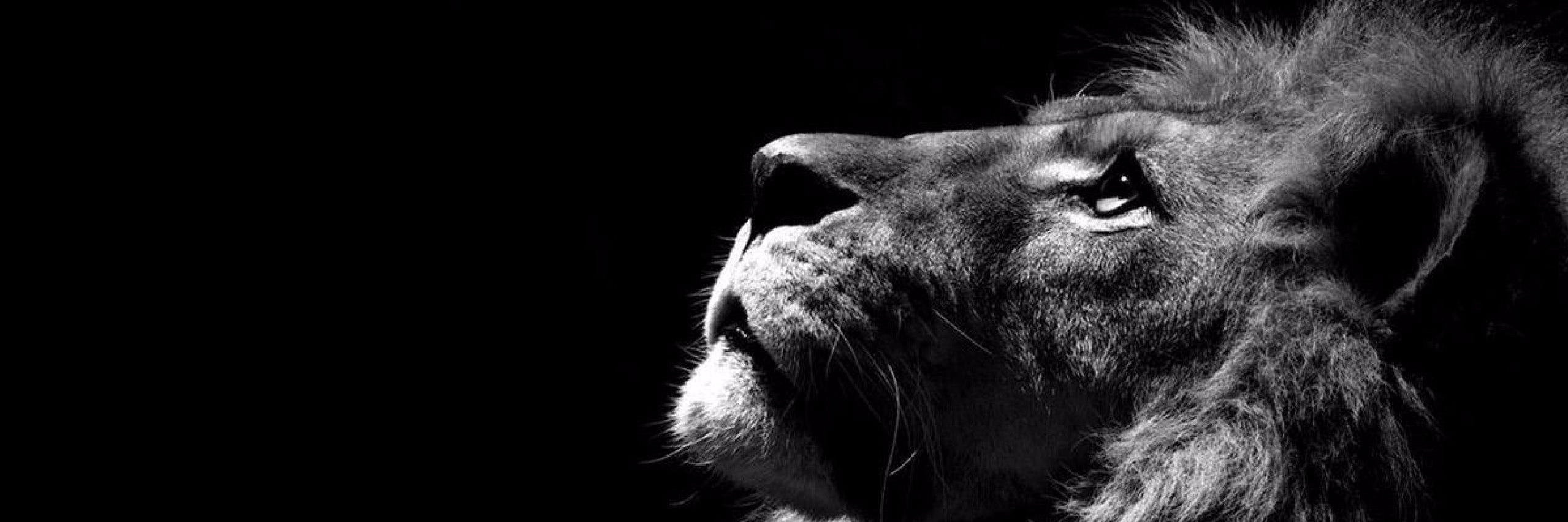 Julianosbc's profile banner image