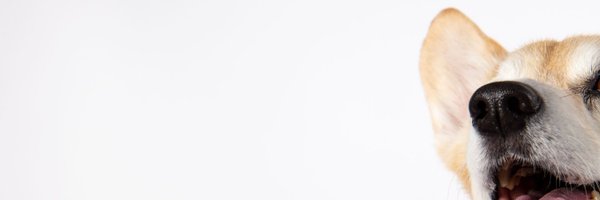 ColStauffer Profile Banner