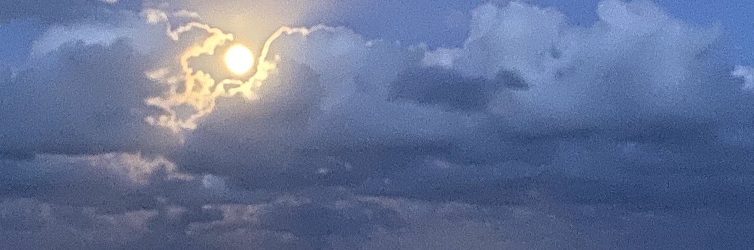 Renehsum's profile banner image
