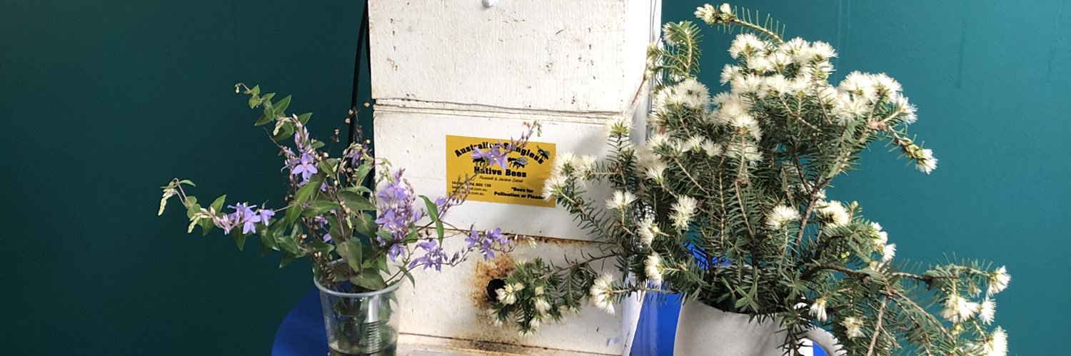 mani मनि (The Plant Person) banner