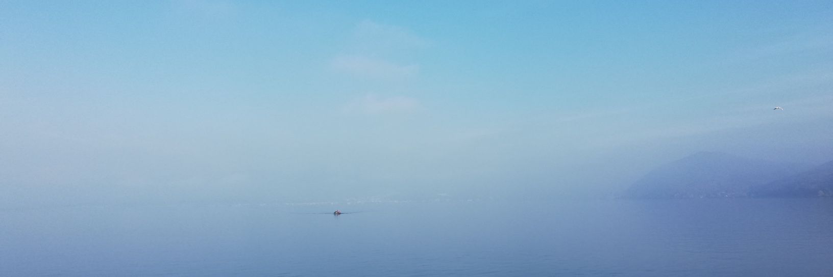 Nikola ni volova banner