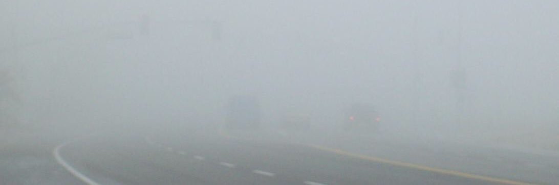 Gone in the Fog banner