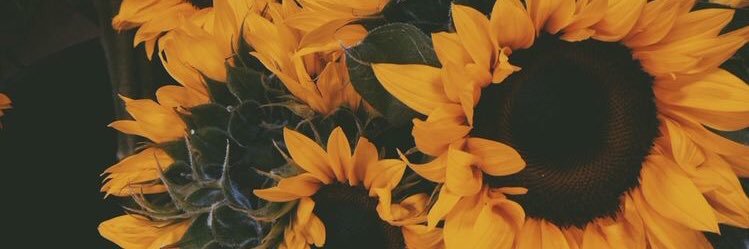 meganjbeeson's profile banner image