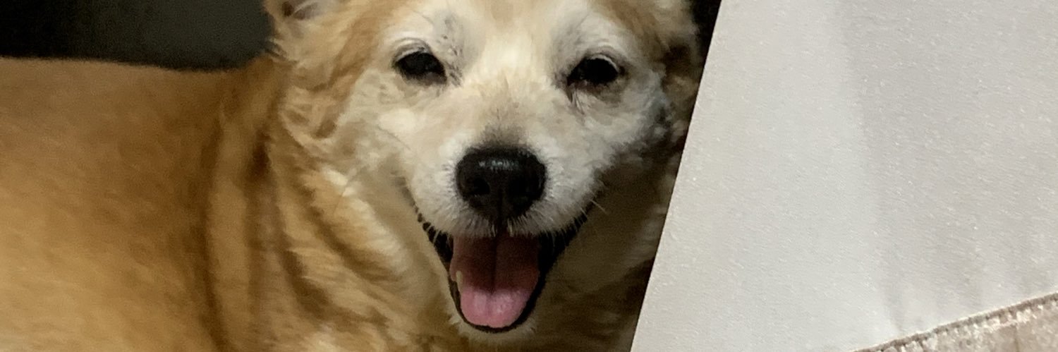 hide_akamaru's profile banner image