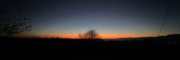 alebassoMEP Profile Banner