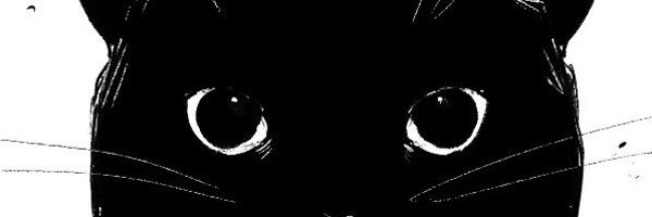 BaraMonki Profile Banner