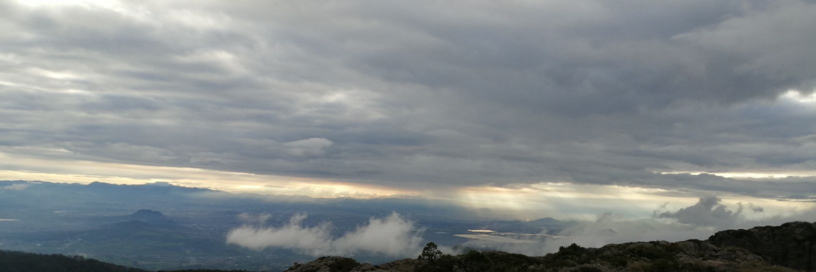 lalothc_420's profile banner image
