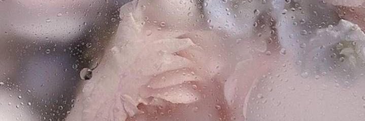 ^^ banner