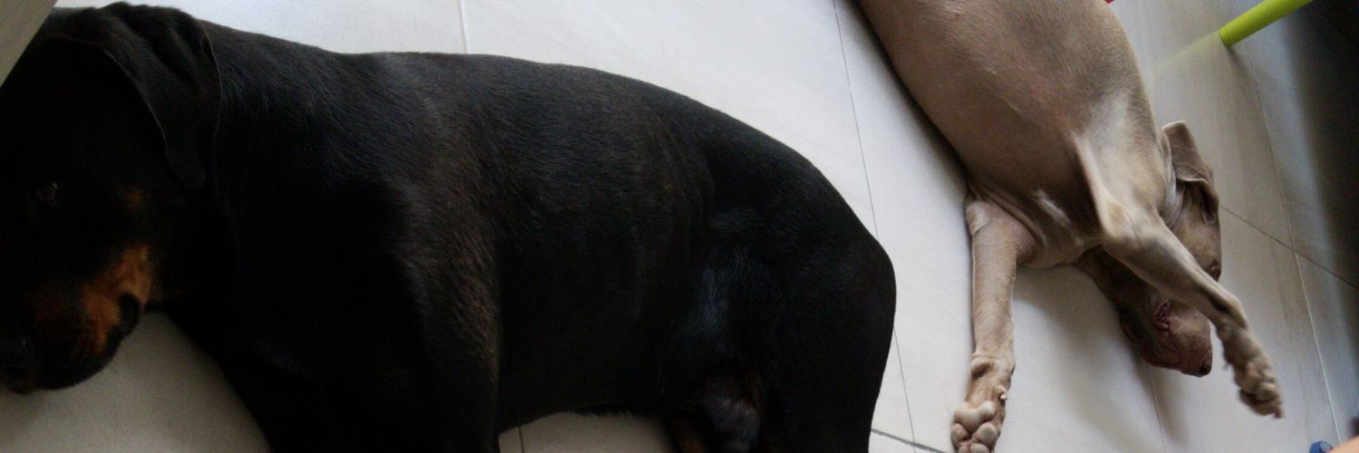 VictoriaBCrt's profile banner image