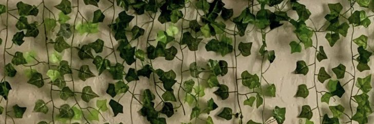 emilyblinder's profile banner image