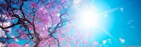 EpicOne22 Profile Banner