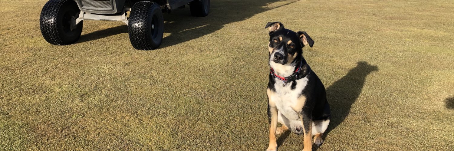 Patrick Sevigny banner