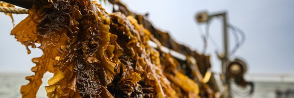 MaxineCanvin Profile Banner