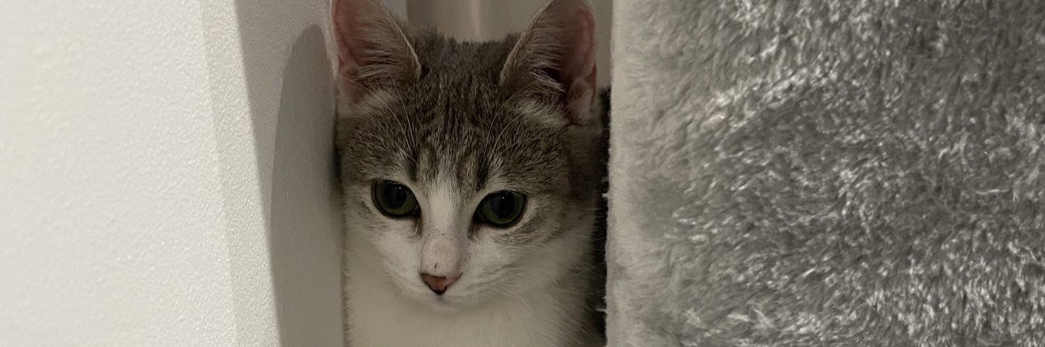 Océ banner