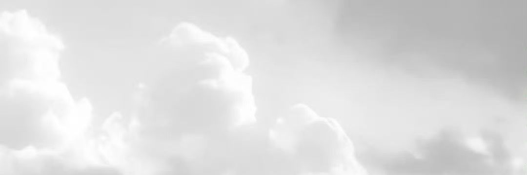 piupurple banner