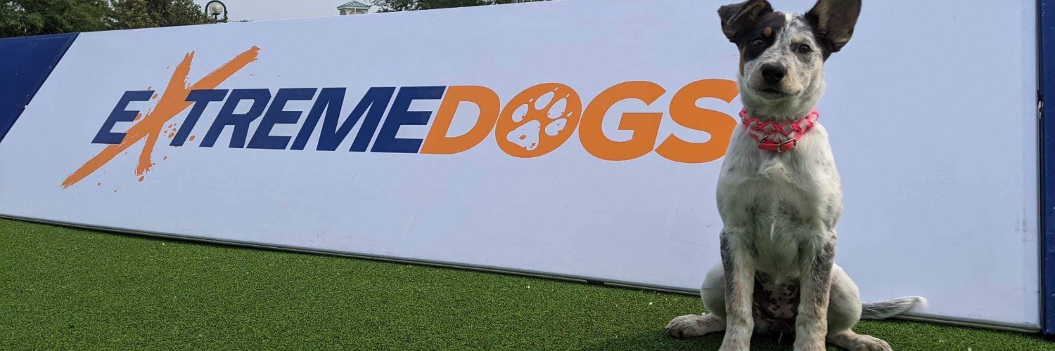 Extreme Dogs Stunt Dog Show banner