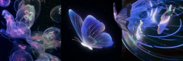 softraiden Profile Banner