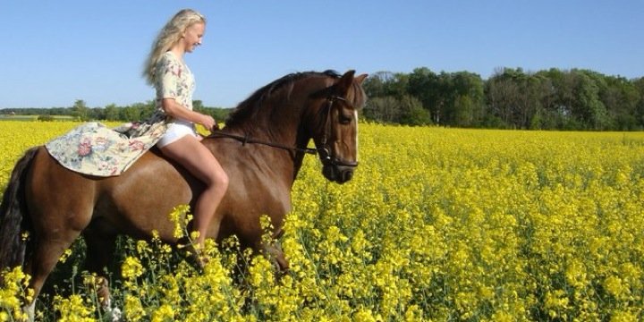 juliamarkstrom's profile banner image