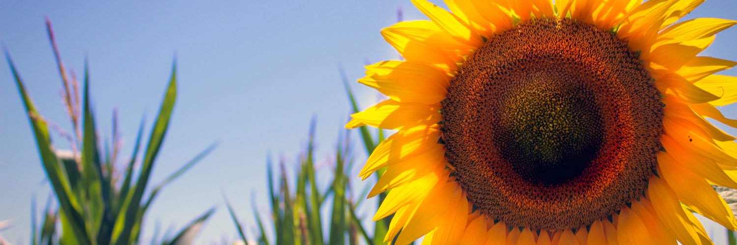 clara_d123's profile banner image