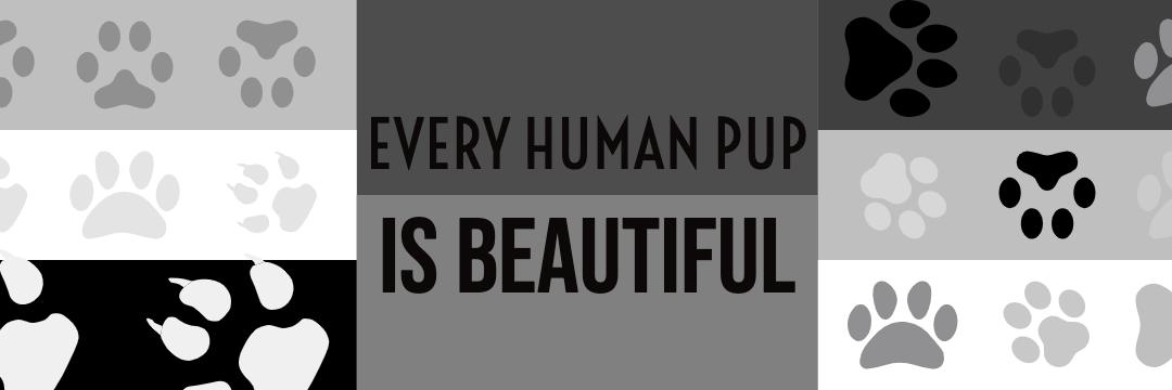 dex_pup's profile banner image