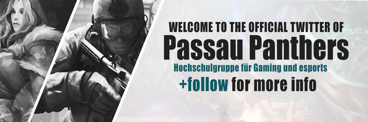 Passau Panthers banner