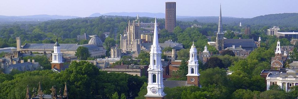 Dennis Moledina, MD PhD banner