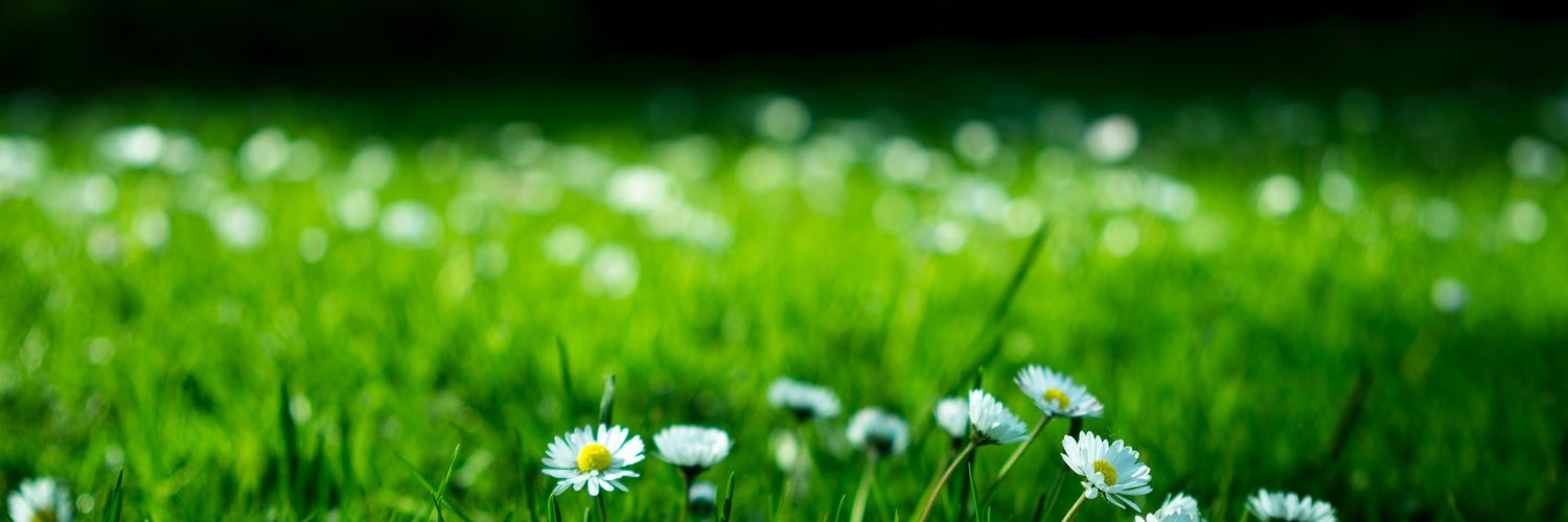 upalexi's profile banner image