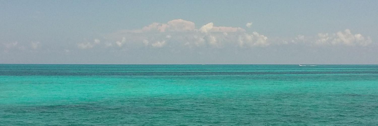 kaledze's profile banner image