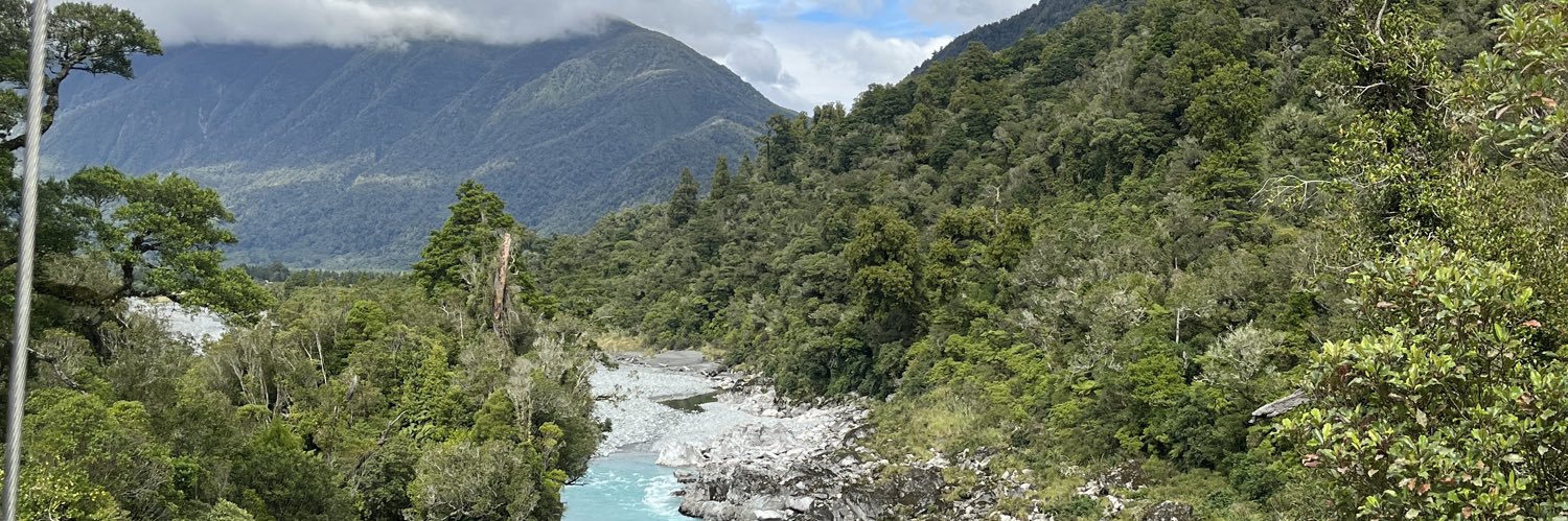 Steve Karas PT banner