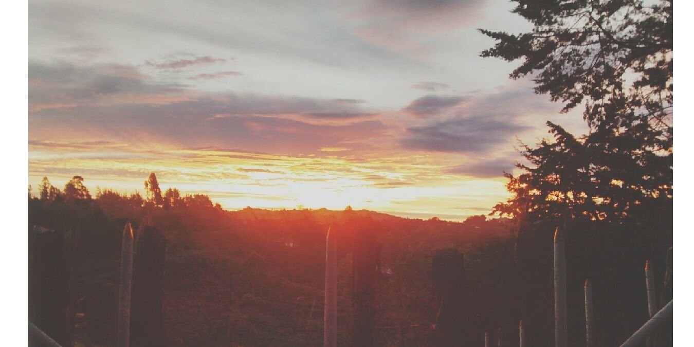 daniela_003's profile banner image