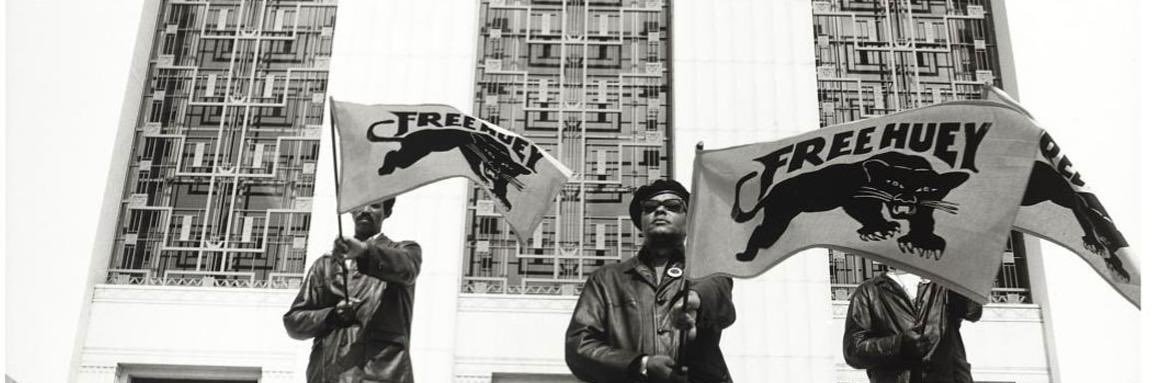 flipper banner