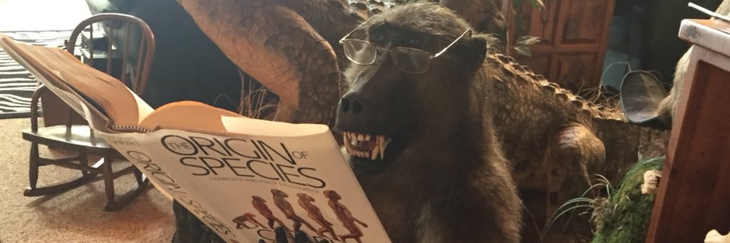 SethRademacher's profile banner image