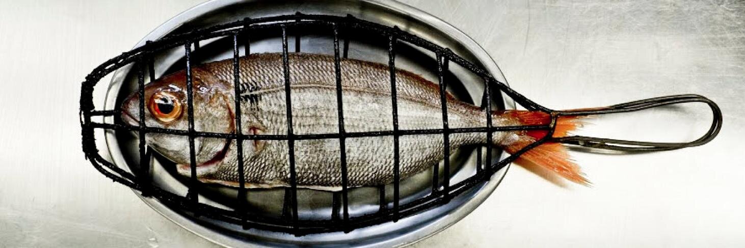 marti buckley banner