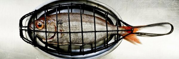 martibk Profile Banner