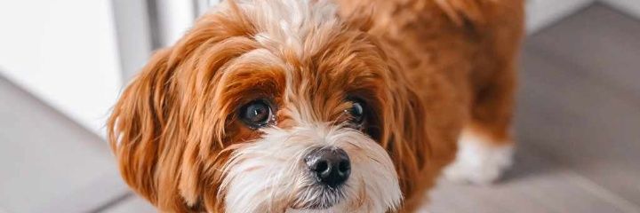 Miraclejonah14's profile banner image