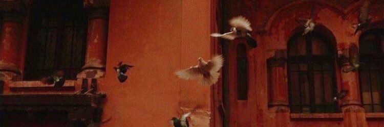 مـنَـوُش.🪞 banner