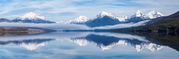 once_todd_talks Profile Banner