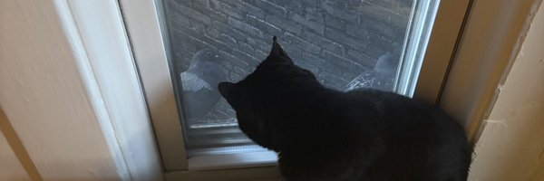 sam__simmons1 Profile Banner