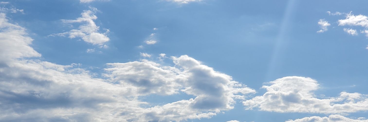 fuschiabird's profile banner image
