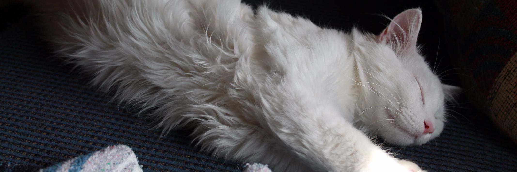 theotherbowoon's profile banner image