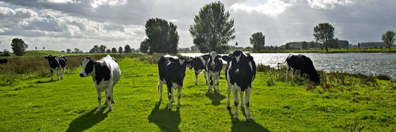 bartklijnsma's profile banner image
