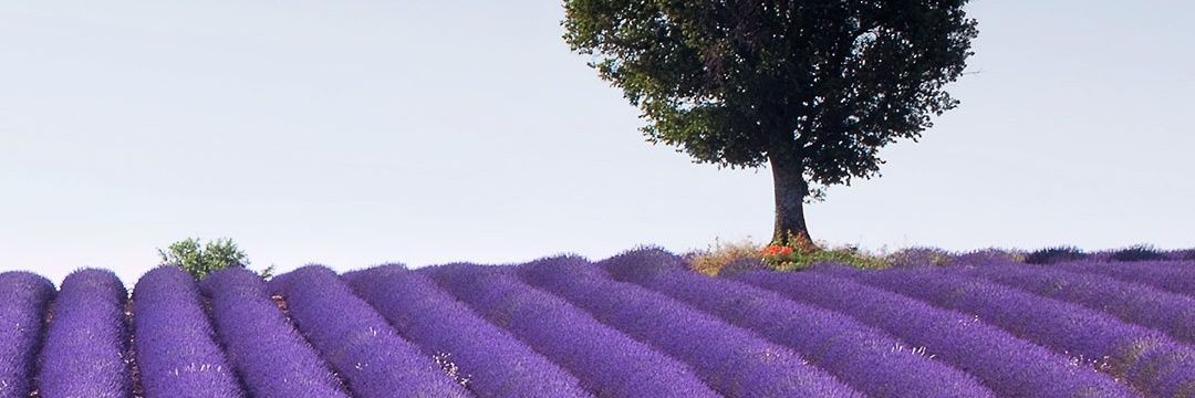 Katombozi's profile banner image