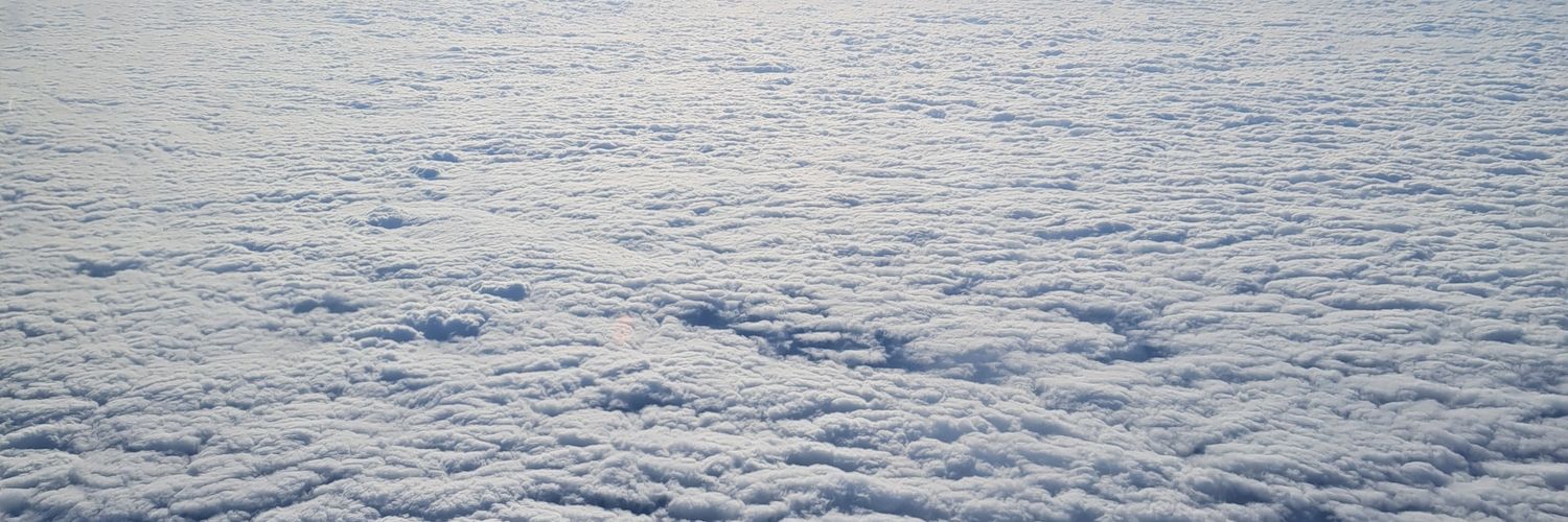 DISL Automatic banner