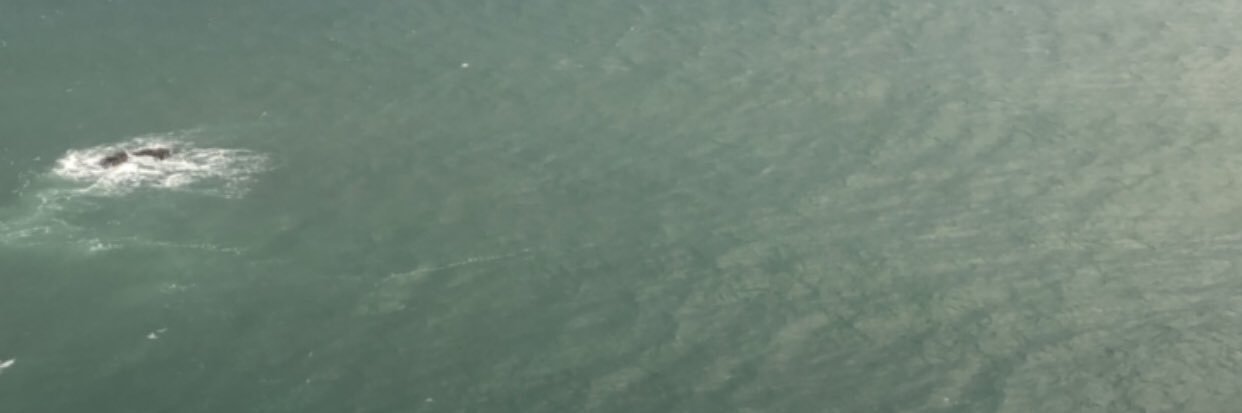 Razanmld's profile banner image