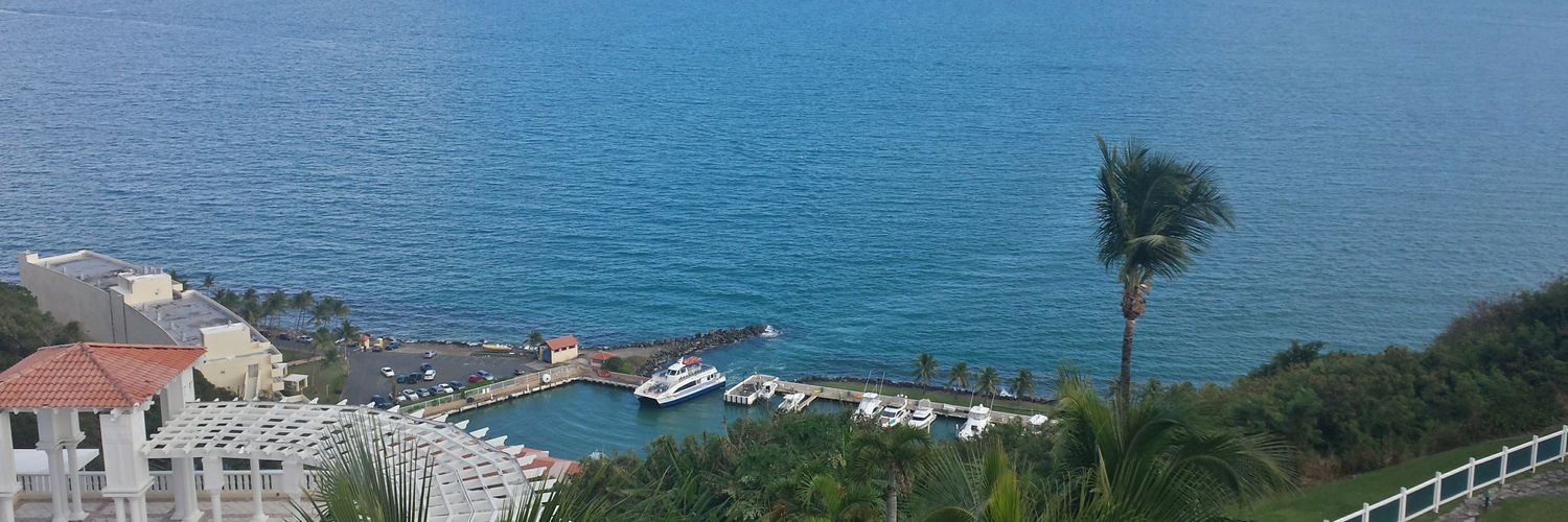 Joanisabel Gonzalez banner